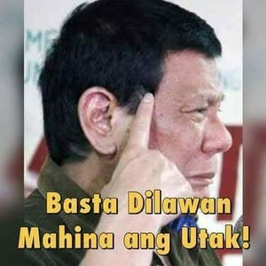 Meet your Posher, Belle